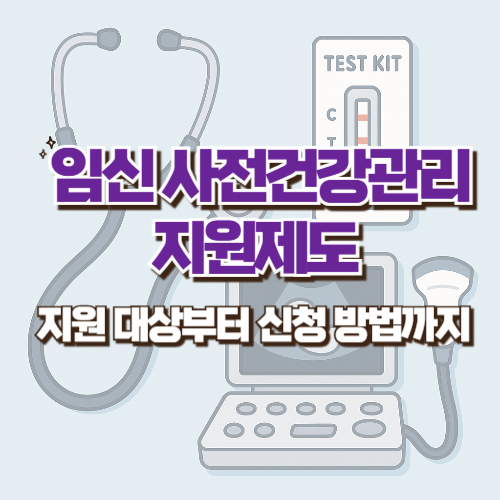 임신 사전건강관리 지원제도 - 지원 대상부터 신청 방법까지(+ e보건소에서 신청하기)